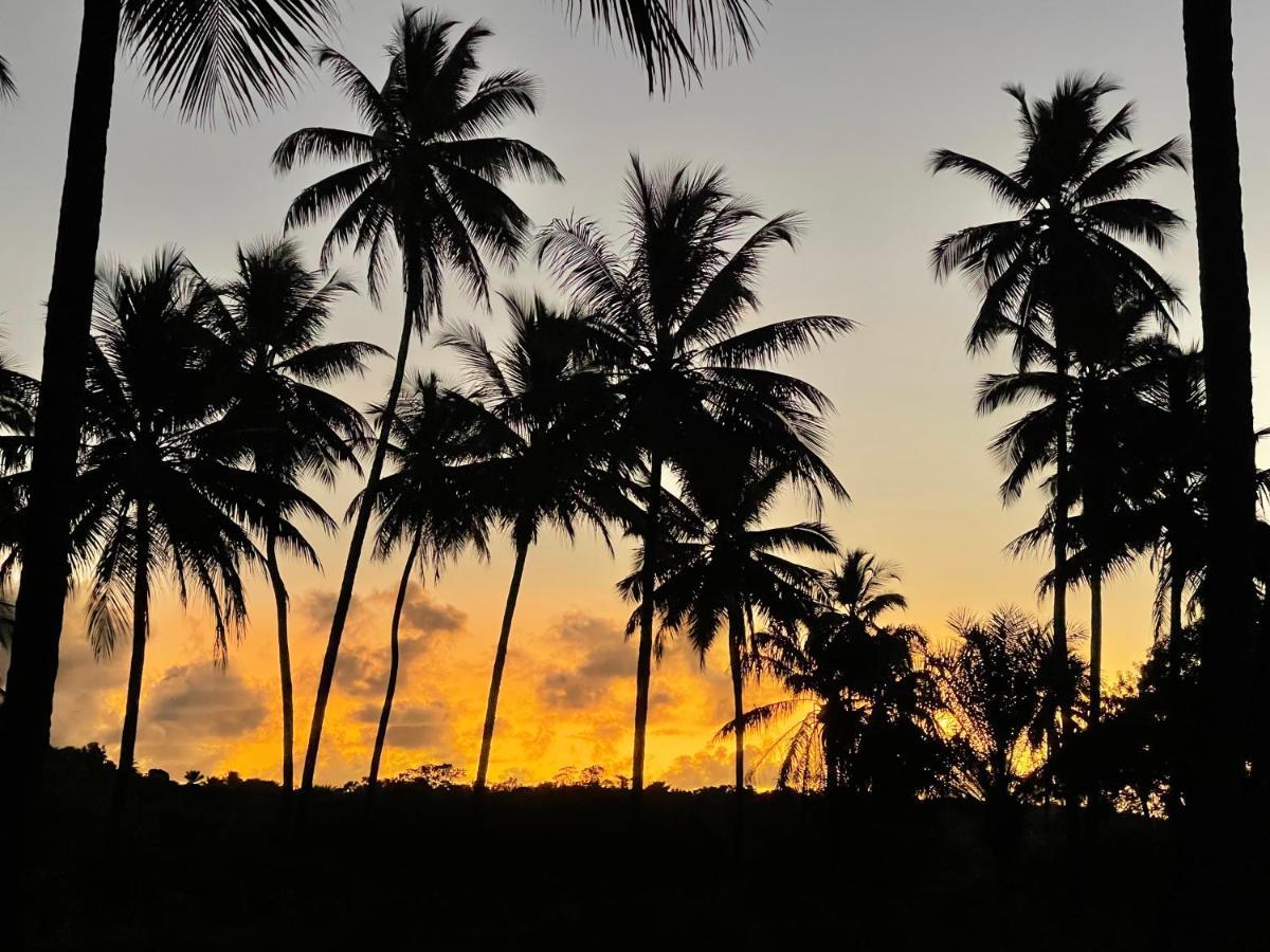 Pousada Horizonte Azul Velha Boipeba Eksteriør billede