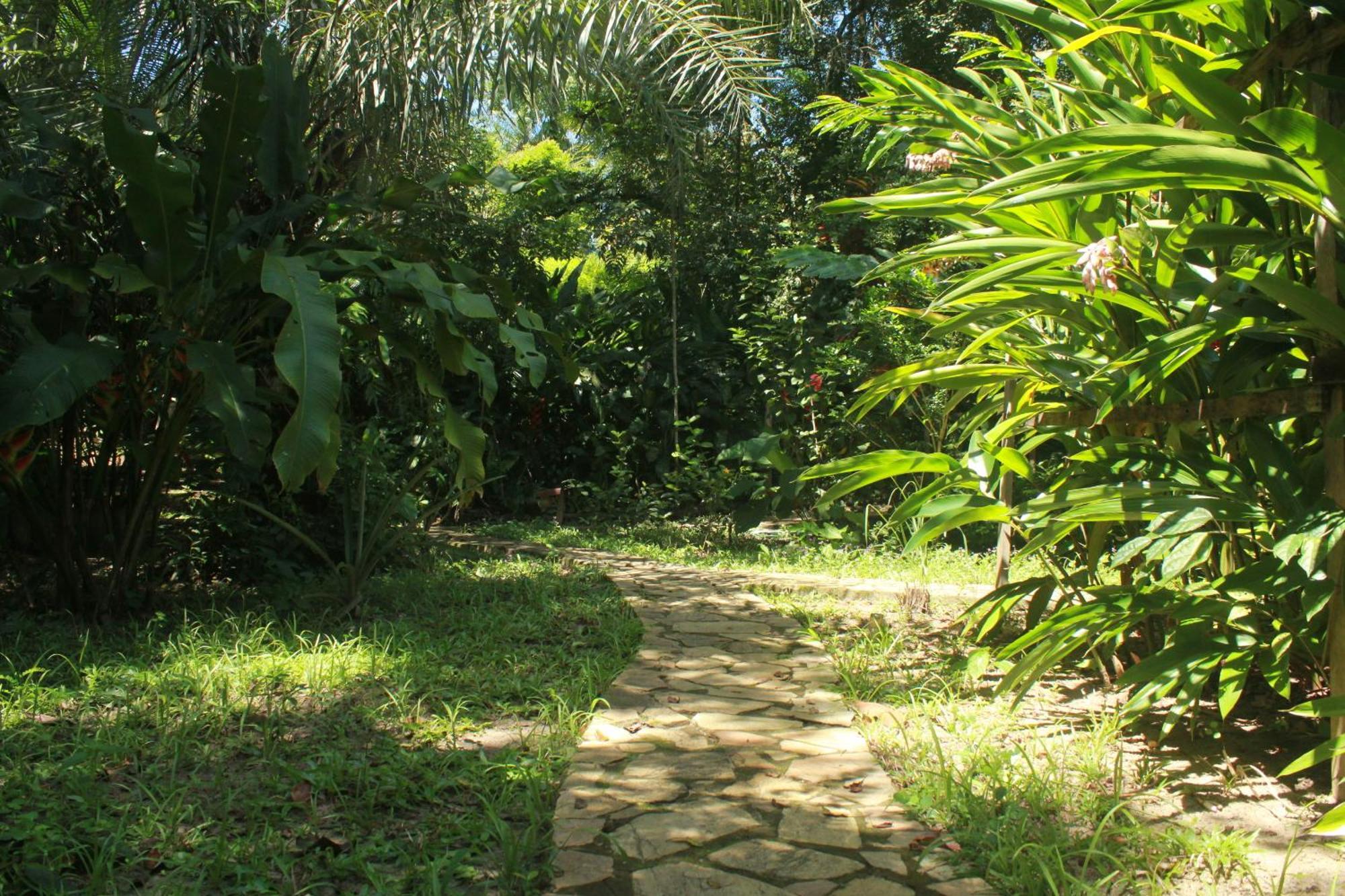 Pousada Horizonte Azul Velha Boipeba Eksteriør billede